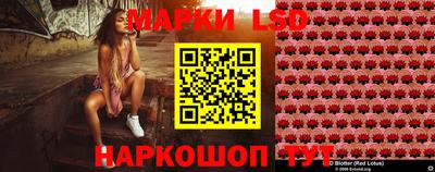 МДПВ Заволжье
