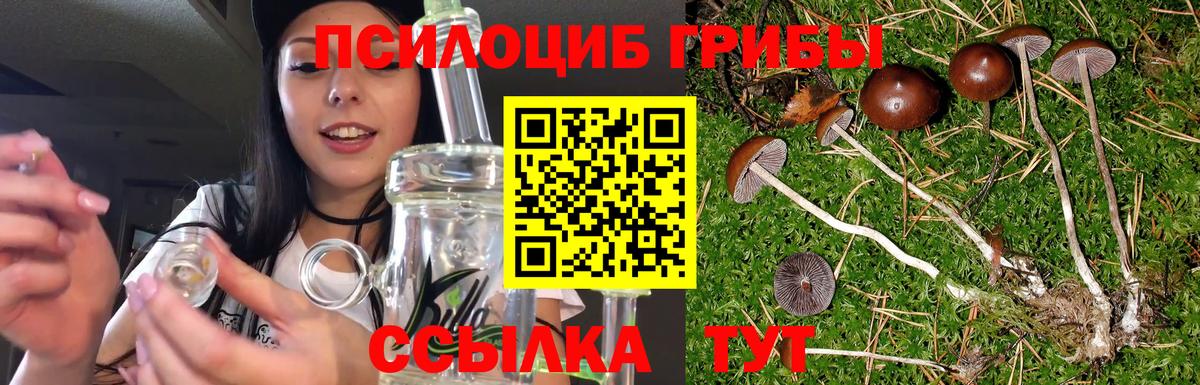 Малоярославец  где найти   Вход с VPN  Псилоцибиновые грибы MAGIC MUSHROOMS 